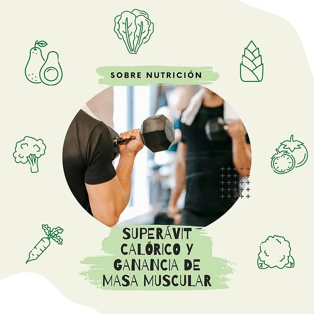 David Franco Nutricion entrenamiento